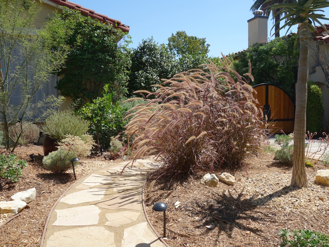 Landscape work in Carlsbad, CA