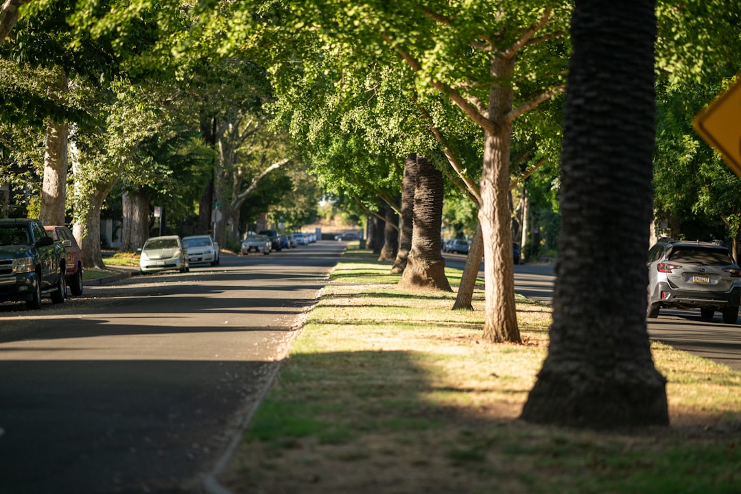 Landscape work in Garden Grove, CA