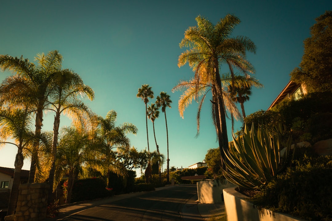 Landscape work in Midway City, CA