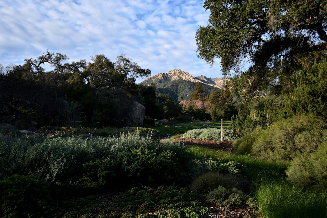 Landscape work in Poway, CA
