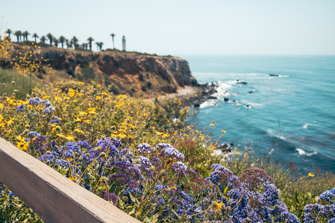 Landscape work in San Marcos, CA