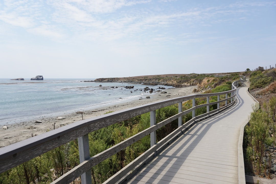 Landscape work in Seal Beach, CA