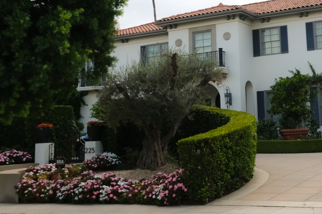 How Much Does Landscaping Cost in San Diego? (2026 Guide)