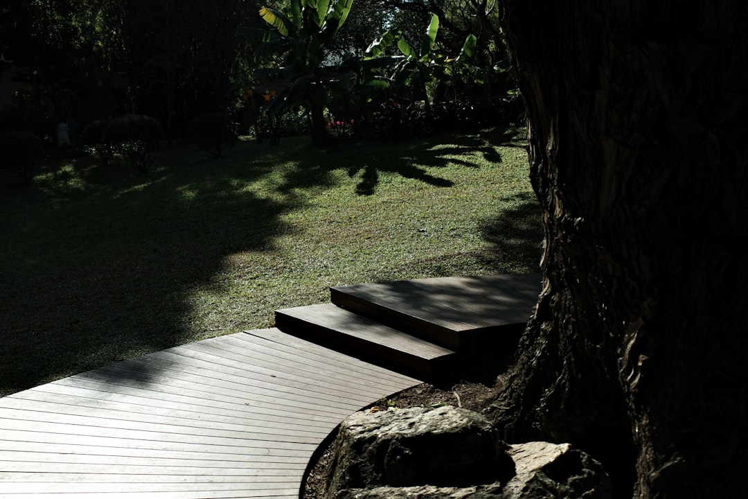 Drought-Tolerant Restoration — Carlsbad, CA